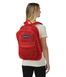 Mesh Pack Backpack