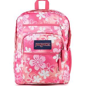 Big Student